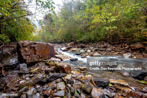 stream in autumn landscape in mountain setting - boone north carolina stock pictures, royalty-free photos & images