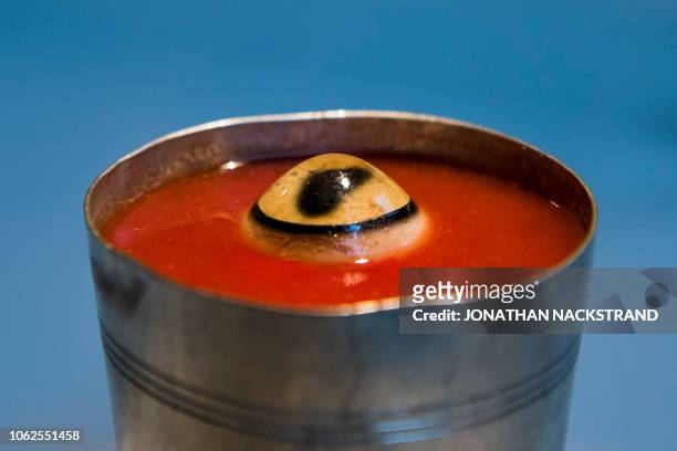 The "Sheep Eyeball Juice" from Mongolia is on view at the Disgusting Food Museum in Malmo on November 7, 2018. - Cheese teeming with squirming...