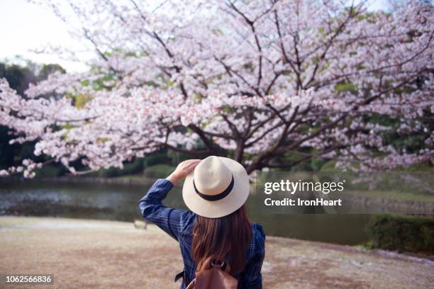 people with cherry blossom in japan. - hanami stock pictures, royalty-free photos & images