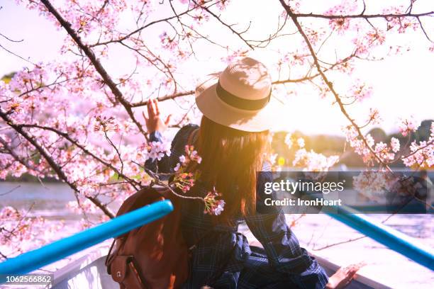 people with cherry blossom in japan. - sakura photos et images de collection