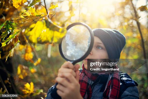 kleiner junge beobachtet herbst blätter - magnifying glass nature stock-fotos und bilder