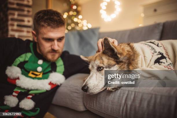 playing with dog - scared dog stock pictures, royalty-free photos & images