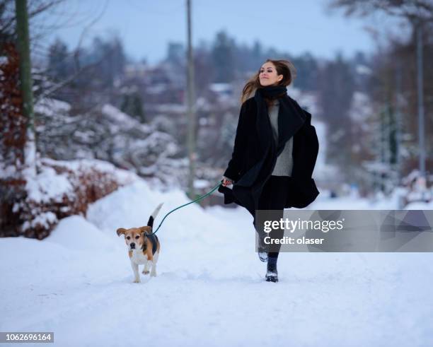 gelukkige vrouw waarop winter straat met beagle hond - happy lady walking dog stockfoto's en -beelden