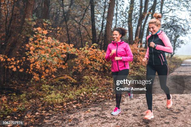 jonge topsporters waarop mistige ochtend in de natuur - jogging stockfoto's en -beelden