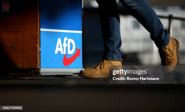 Member of the right-wing Alternative for Germany political party arrives for the AfD congress ahead of elections to the European Parliament next year...