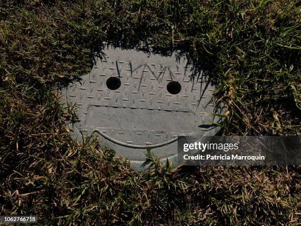 smiley face in the grass - anthropomorphic face stock pictures, royalty-free photos & images