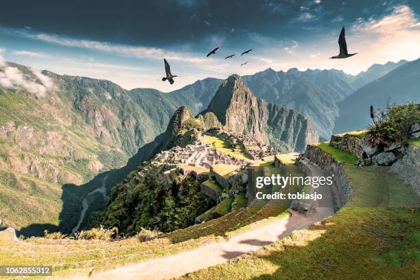 machu picchu - inca stockfoto's en -beelden