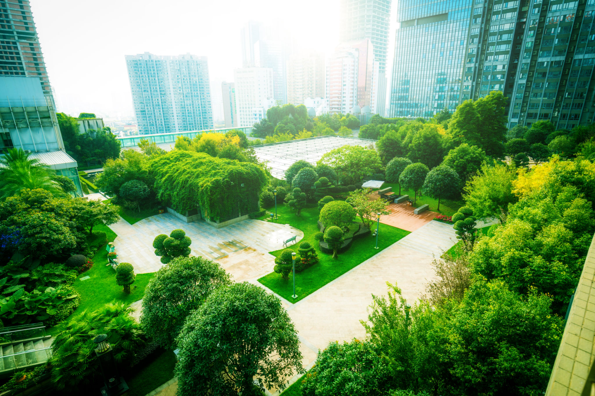 Office buildings with green city park trees Office buildings with green city park trees