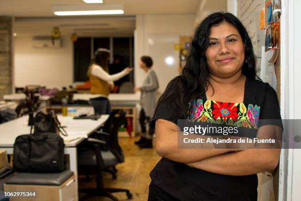 young indigenous woman in the office. - lateinamerikaner oder hispanic stock-fotos und bilder