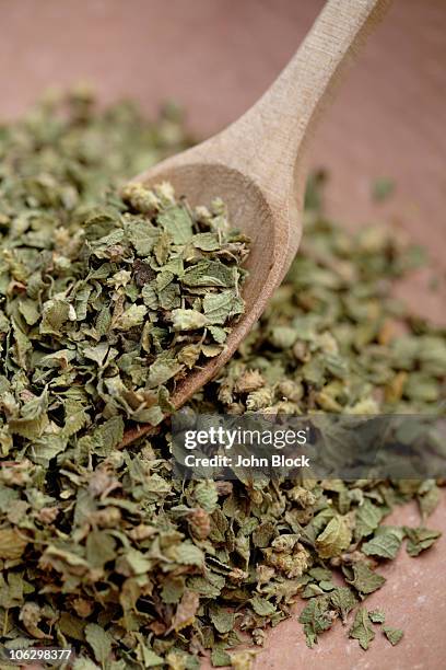 close up of mexican oregano and wooden spoon - orégano fotografías e imágenes de stock