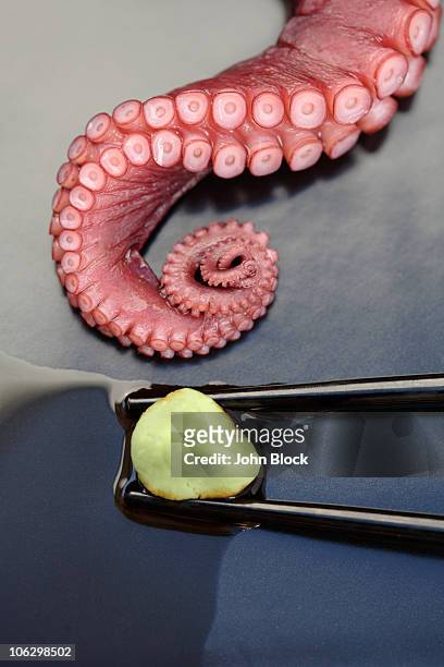 close up of octopus and wasabi - tentacle stockfoto's en -beelden