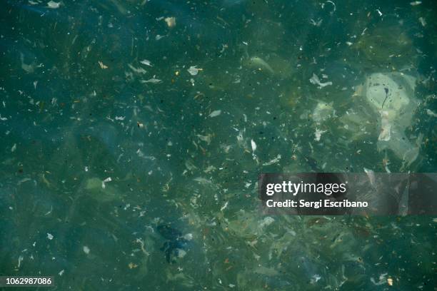 sea of plastic - watervervuiling stockfoto's en -beelden