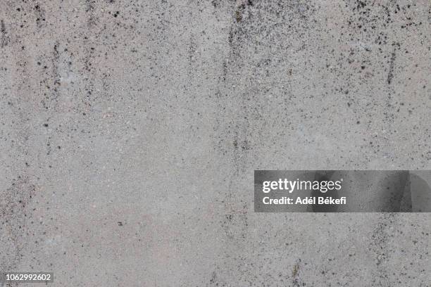 concrete background - plank variation stock pictures, royalty-free photos & images