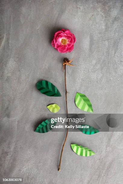 a creative and imaginary disconnected flower - origami flower stock pictures, royalty-free photos & images