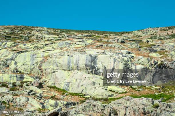 sedimentary rocks & carnotite - ウラニウム ストックフォトと画像