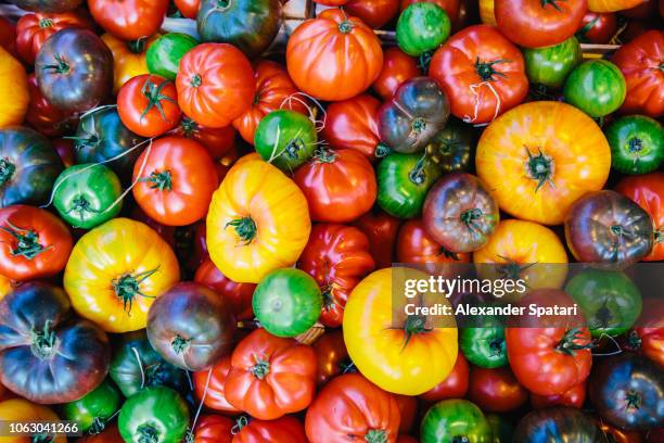 directly above view of multicolored tomatoes on the market stall at farmer's market - saftig bildbanksfoton och bilder