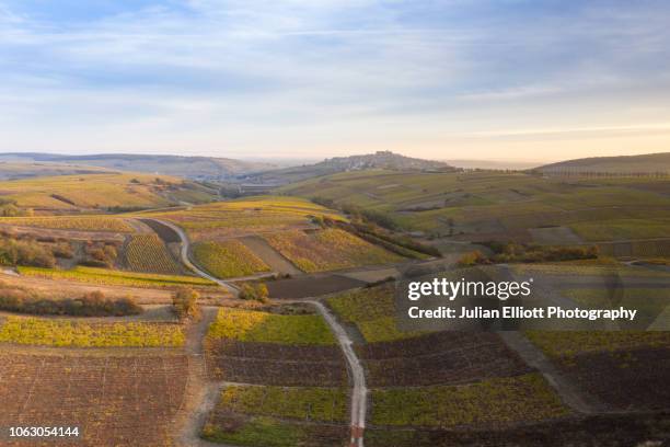 aerial of the vineyards of sancerre, france. - ロワール渓谷 ストックフォトと画像