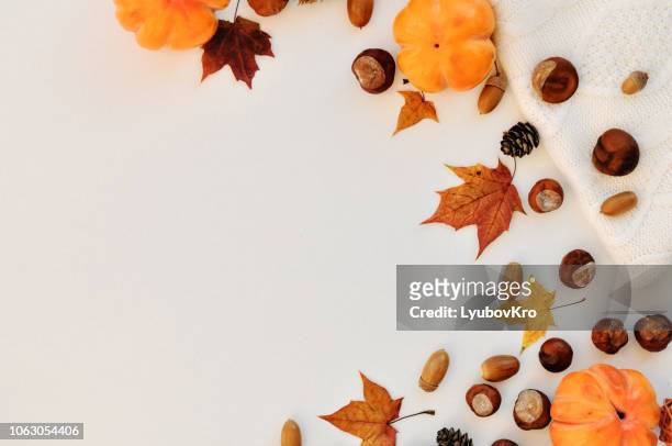 autumn natural decorations frame with copy space for text isolated on white background: nuts, leaves, knitted sweater and decor. for weddings, fall, winter and holidays. - thanksgiving golf foto e immagini stock