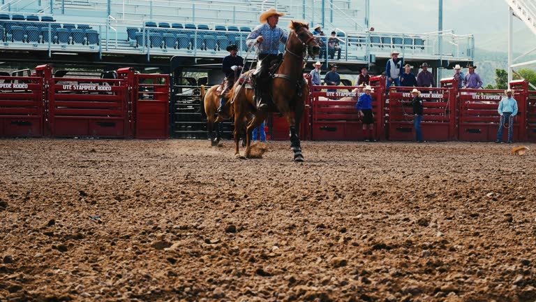 Stanton Rodeo Arena 318 Horse Rodeo Arena Stock Videos, Footage, & 4K Video Clips - Getty ...