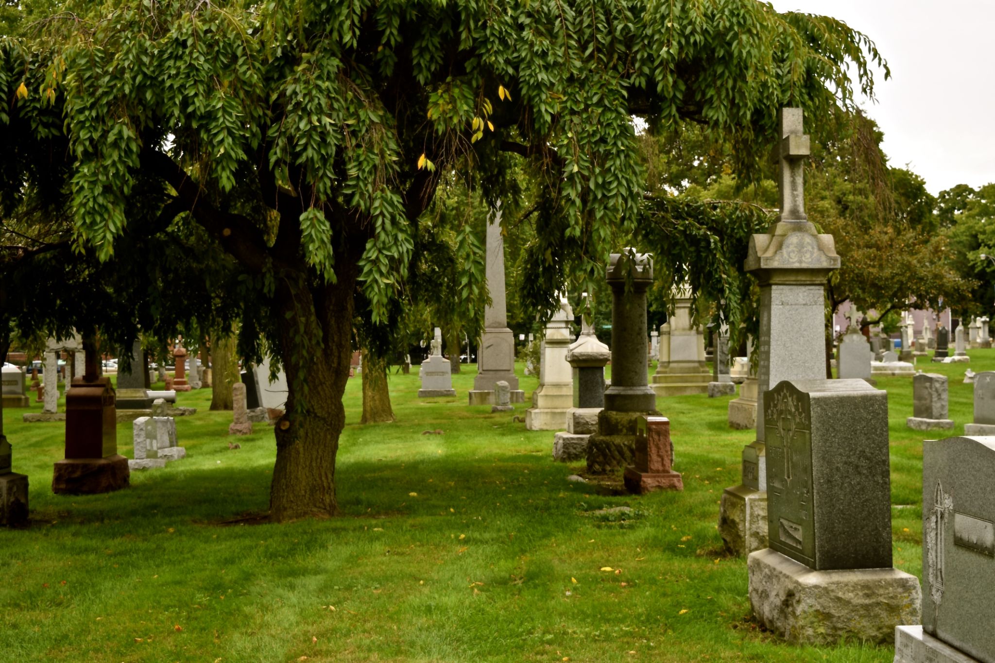 urban cemetery
