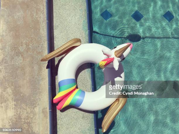 rainbow pegasus unicorn inner tube in swimming pool - unicorn stock-fotos und bilder