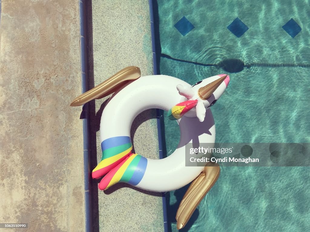 Rainbow Pegasus Unicorn Inner Tube in Swimming Pool