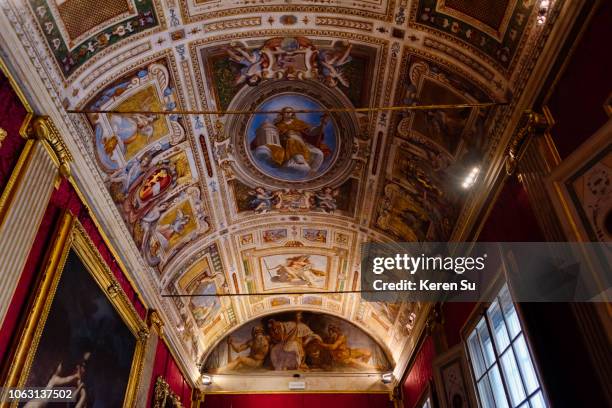 interior of palazzo pitti (palace pitti), ceiling, florence, tuscany region, italy - pitti stockfoto's en -beelden