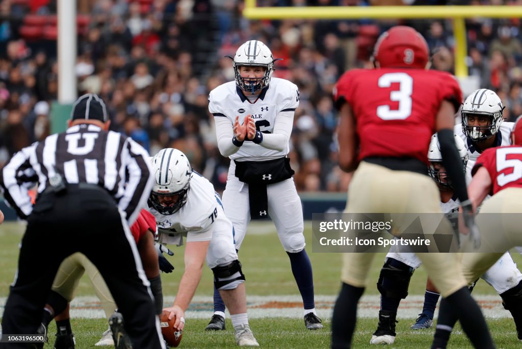 COLLEGE FOOTBALL: NOV 17 Yale at Harvard