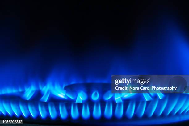 blue flame - stove stock pictures, royalty-free photos & images