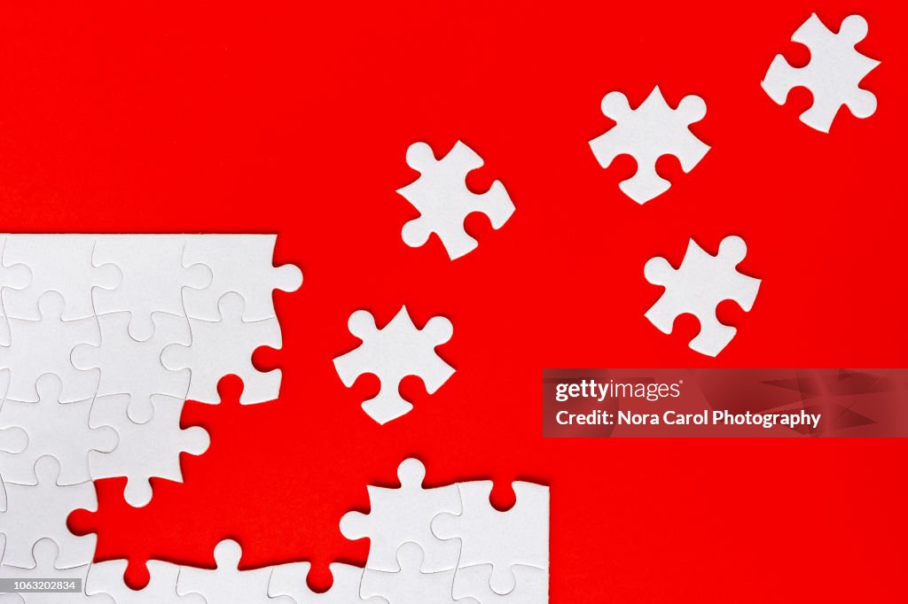 Jigsaw Puzzle