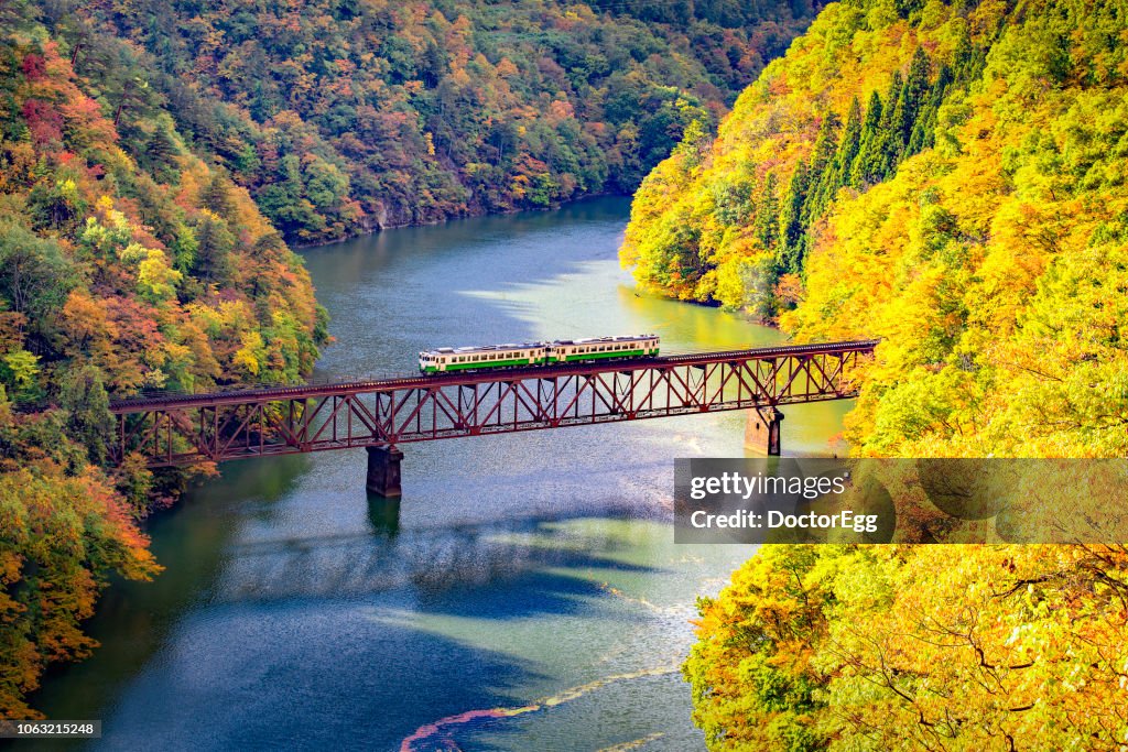 Tadami Line Train on the Bridge across river in Autumn, Mishima,Fukushima,Japan