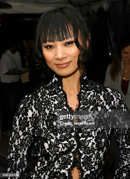Bai Ling during "Crash" Cool Down Party - Hosted by Paul Haggis and Chris "Ludacris" Bridges at Beverly Towers in Los Angeles, California, United...