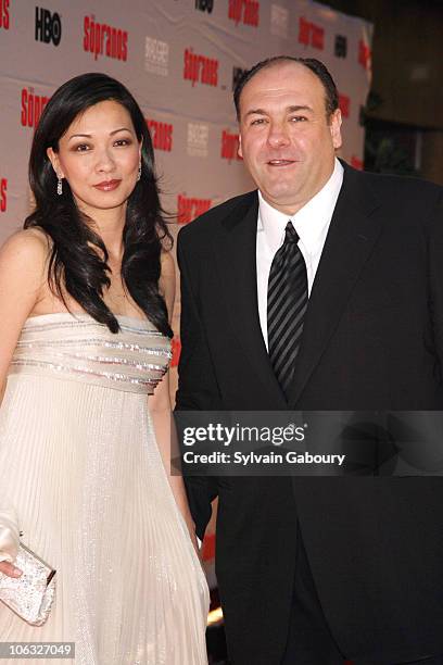 Deborah Lin and James Gandolfini during "The Sopranos" Final Season World Premiere - Arrivals at Radio City Music Hall in New York City, New York,...