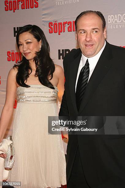 Deborah Lin and James Gandolfini during "The Sopranos" Final Season World Premiere - Arrivals at Radio City Music Hall in New York City, New York,...