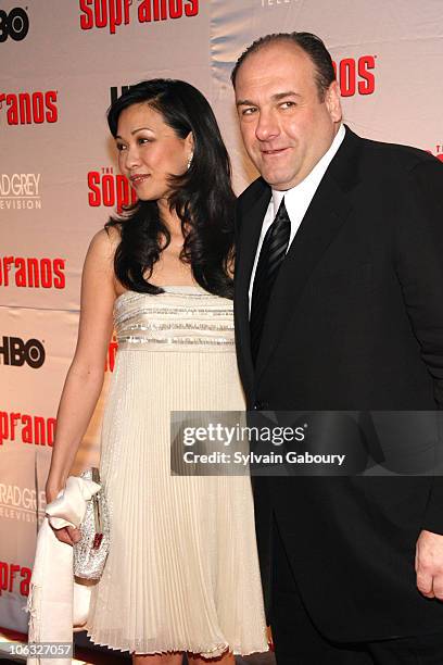 Deborah Lin and James Gandolfini during "The Sopranos" Final Season World Premiere - Arrivals at Radio City Music Hall in New York City, New York,...