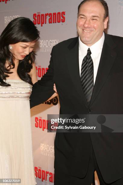 Deborah Lin and James Gandolfini during "The Sopranos" Final Season World Premiere - Arrivals at Radio City Music Hall in New York City, New York,...