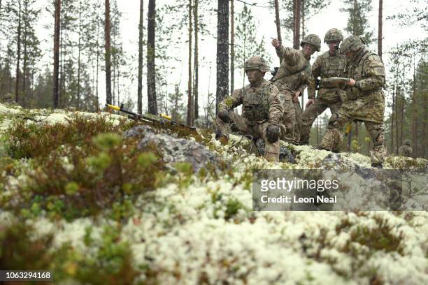 British soldier from B Company of the Royal Irish Regiment sits on a bed of Cladonia lichen as he watches for any signs of an attack from the...