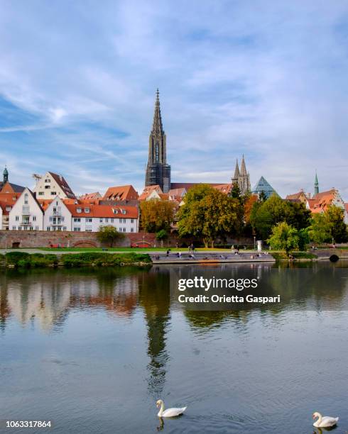 ulm (baden-württemberg, germany) - ulm minster stock pictures, royalty-free photos & images