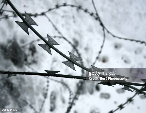 detail of barbed wire with snow in the background - holocausto stock-fotos und bilder