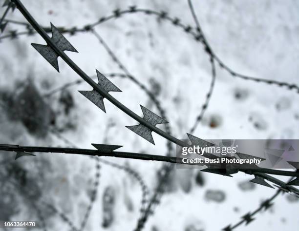 detail of barbed wire with snow in the background - holocaust in color stock pictures, royalty-free photos & images