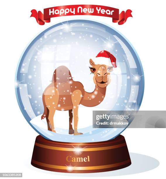 snow globe and camel - monaco stock illustrations