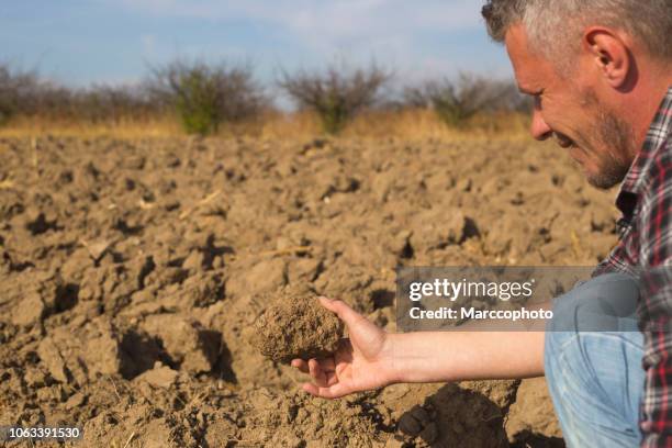 schöne erwachsene landwirt prüfung boden bei seiner großen gepflügtes feld - bodenprobe stock-fotos und bilder
