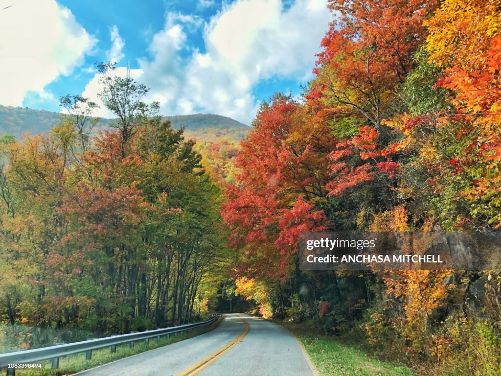 Georgia Country Fall Fall In North Georgia Usa High-Res Stock Photo - Getty Images