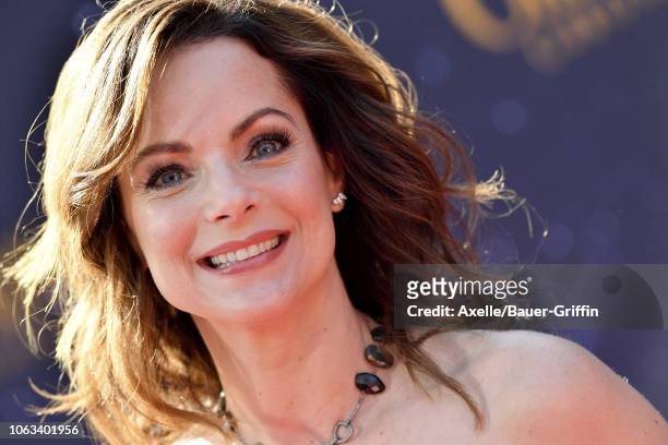 Kimberly Williams-Paisley attends the premiere of Netflix's 'The Christmas Chronicles' at Fox Bruin Theater on November 18, 2018 in Los Angeles,...