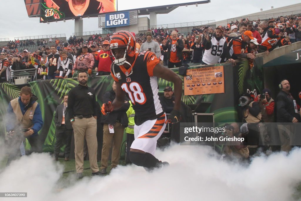 Tampa Bay Buccaneers v Cincinnati Bengals