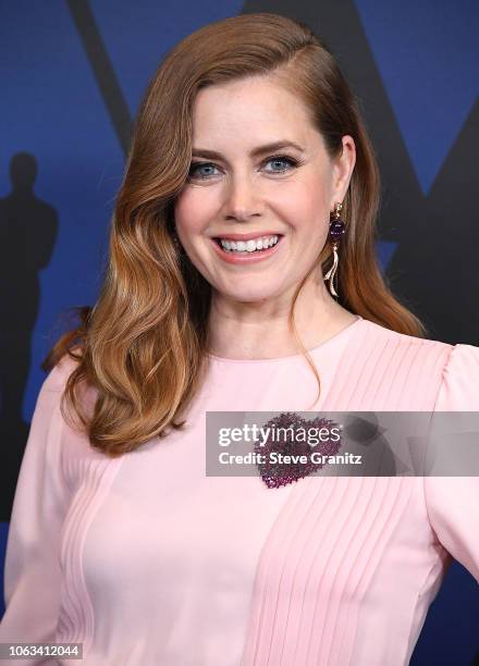 Amy Adams arrives at the Academy Of Motion Picture Arts And Sciences' 10th Annual Governors Awards at The Ray Dolby Ballroom at Hollywood & Highland...
