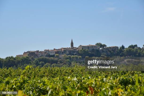 vineyards landscape in france - var fotografías e imágenes de stock