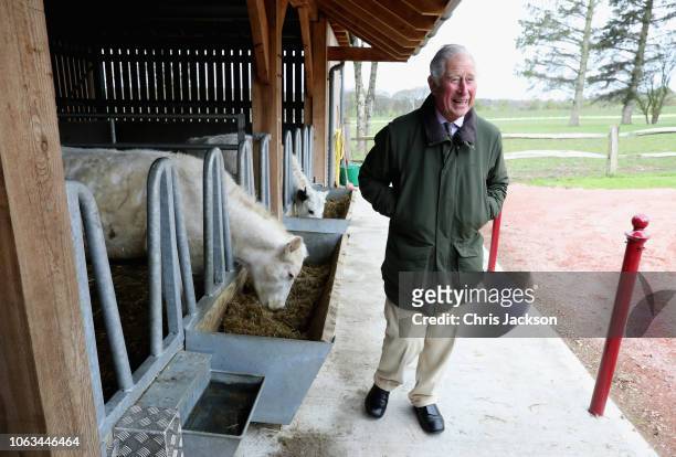 Prince Charles, Prince of Wales checks on the Rare breed cattle at Dumfries House Farm at Dumfries House on May 4, 2018 in Dumfries, Scotland. .