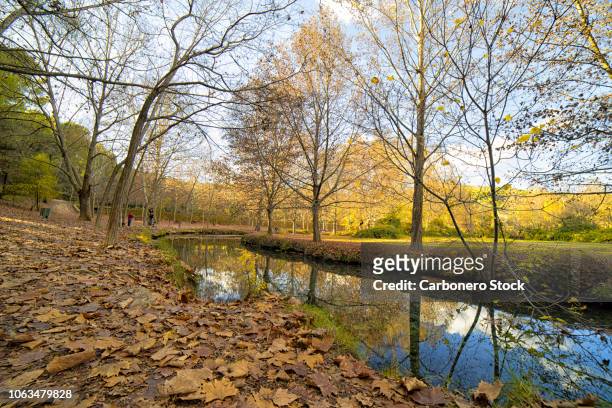 autumnal scene next to a river - marqués fotografías e imágenes de stock