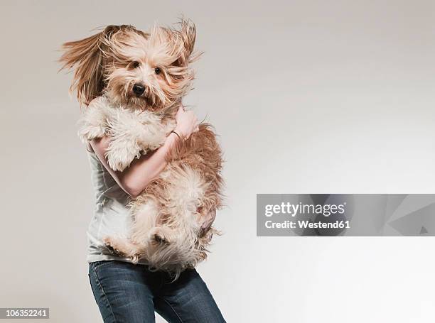 teenage girl (16-17) holding dog and jumping - dog jumping stockfoto's en -beelden